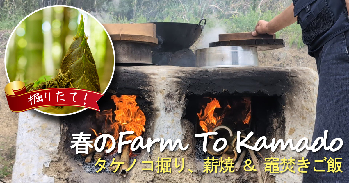 掘りたてタケノコをその場で薪焼！「Farm to Kamado」収穫体験＆竈ご飯