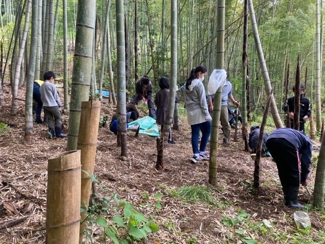 子供向け タケノコ掘り おすすめ体験ランキング