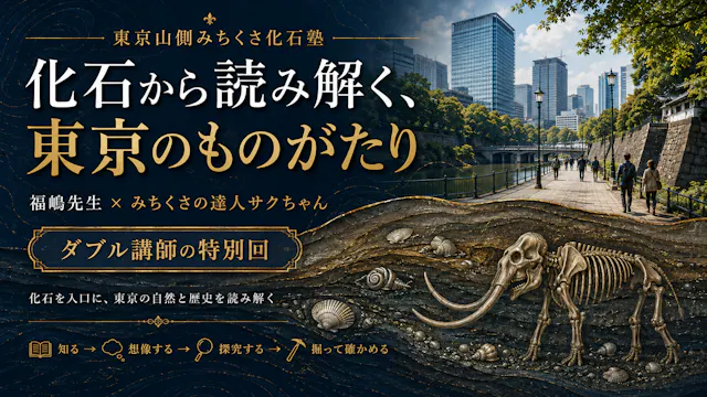 【東京都千代田区大手町】化石から読み解く、東京のものがたり