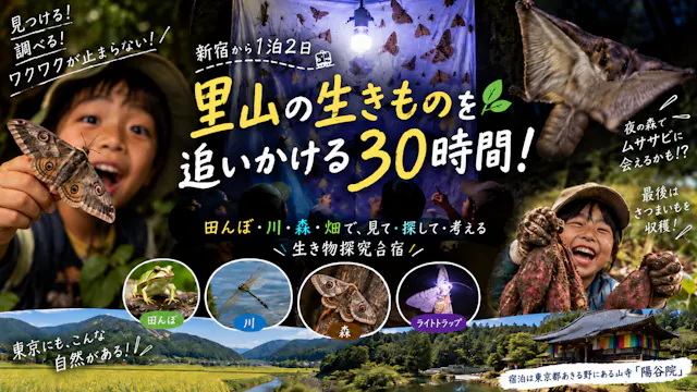 【新宿発1泊2日あきる野市】里山の生きものを追いかける30時間！ライトトラップ＆ムササビ＆カブトムシの幼虫にミクロの世界まで！生き物探究合宿