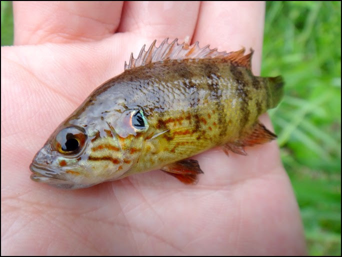 川崎市麻生区おすすめ体験ランキング Aini アイニー 夢中が集まる体験プラットフォーム