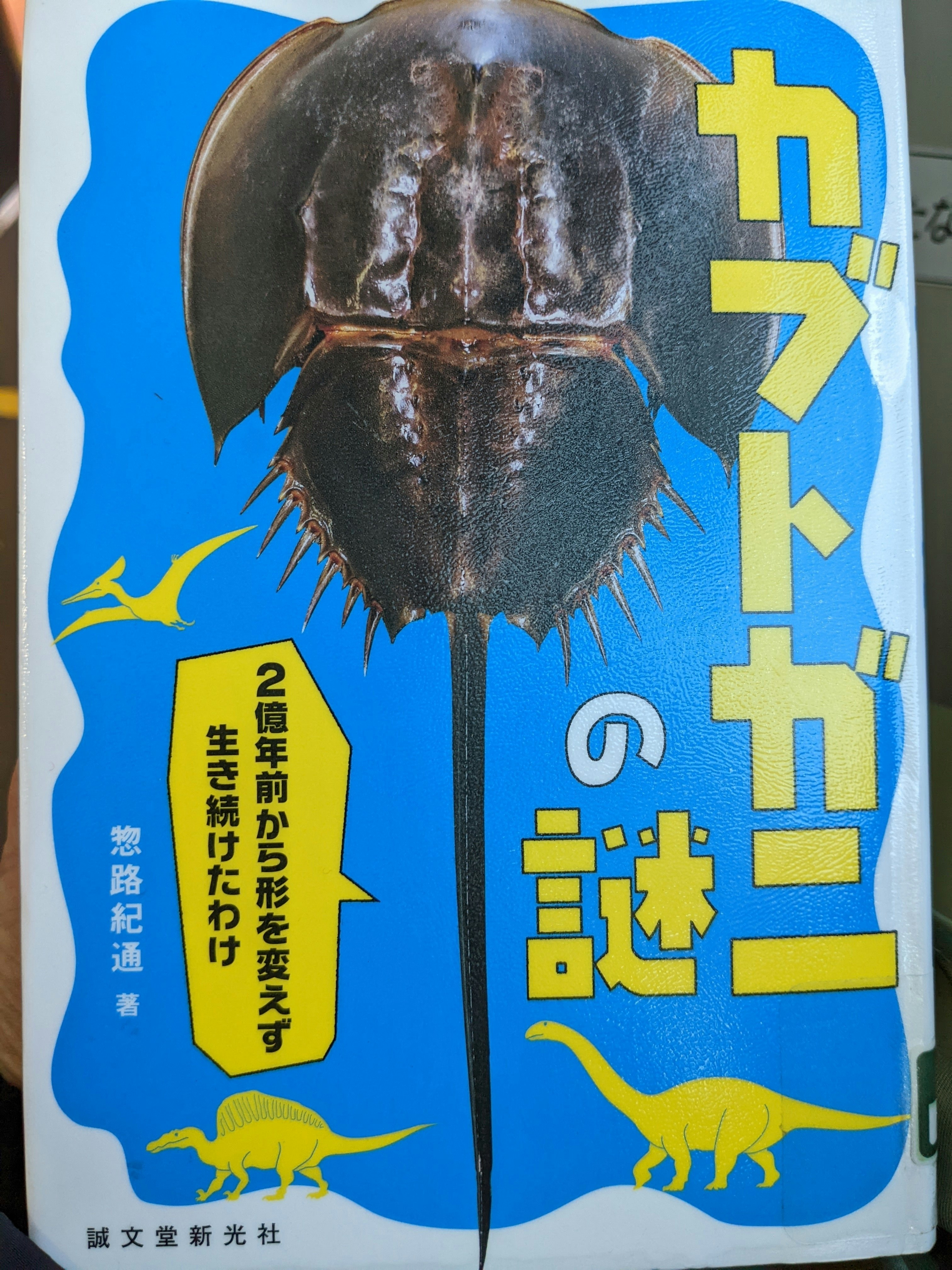 カブトガニ2匹セット 親子 www.krzysztofbialy.com