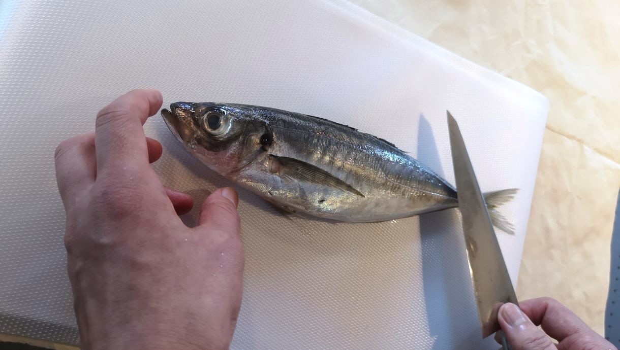 神奈川県の魚のさばき方おすすめ体験ランキング Aini アイニー 夢中が集まる体験プラットフォーム