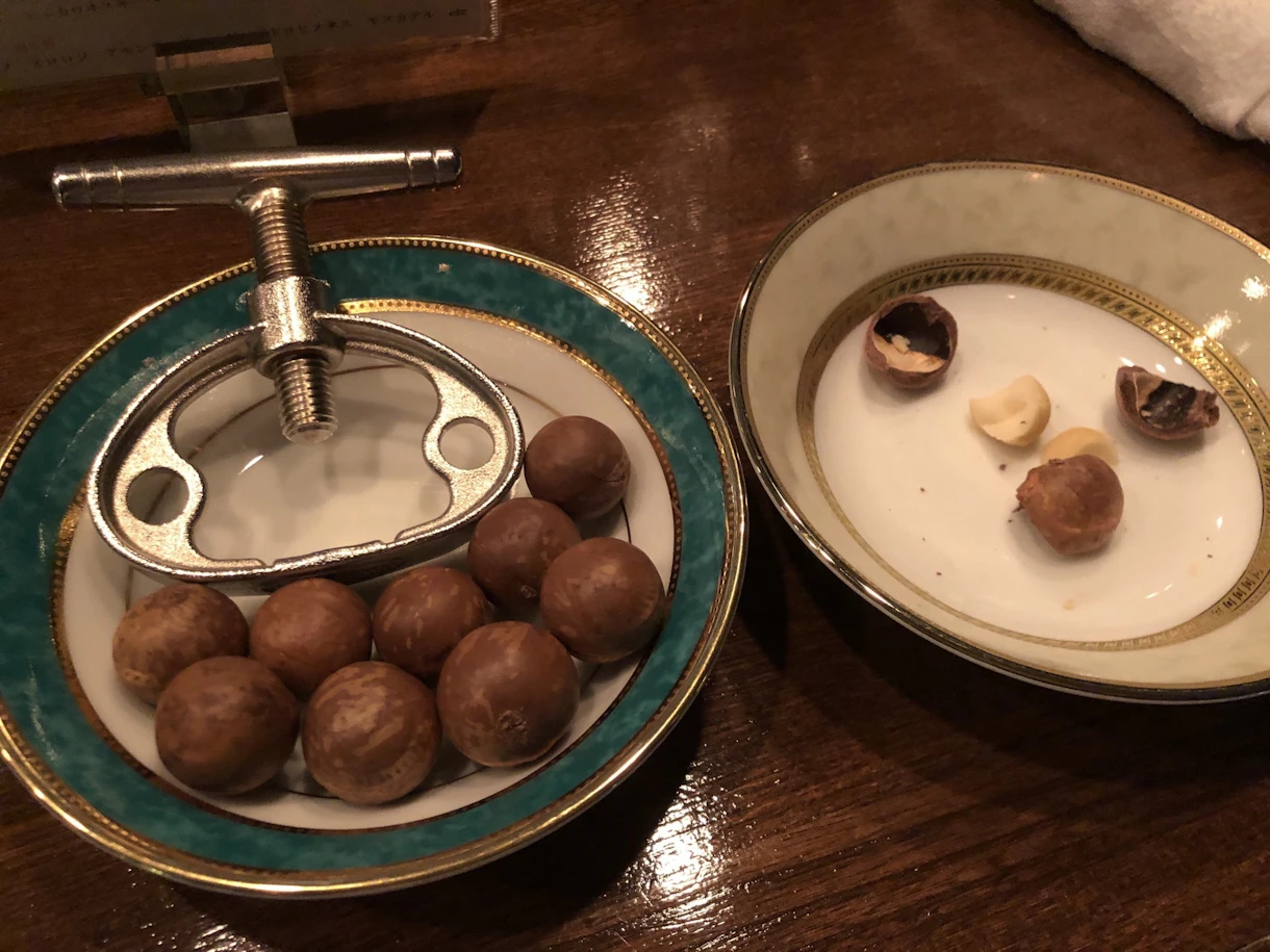 チョコ様1524 立ち上がり