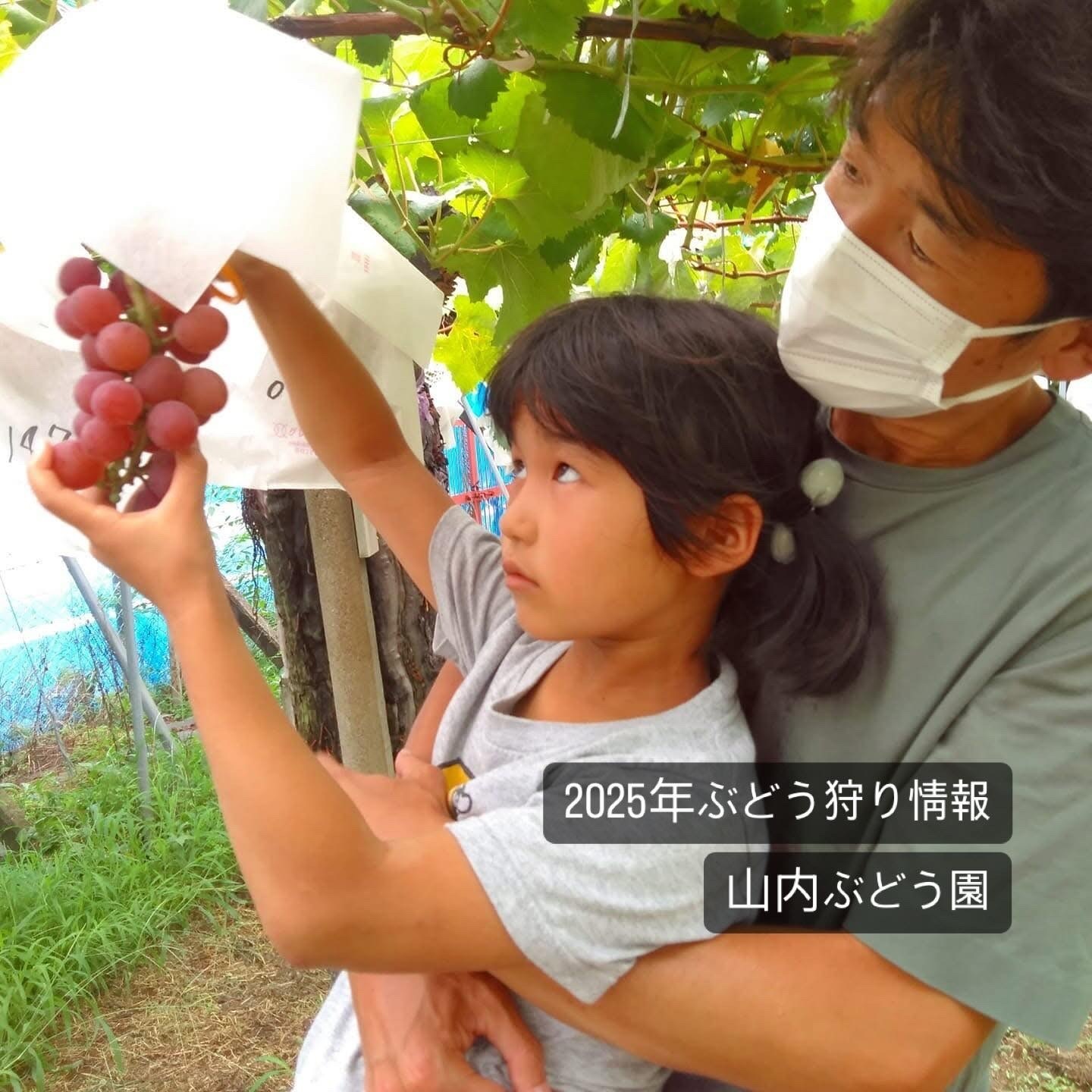 山内美香のプロフィール | aini（アイニ）