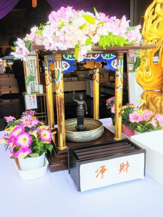 仏には桜の花をたてまつれ Aini アイニ 夢中が集まる体験プラットフォーム