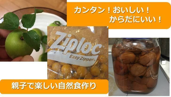 梅干し作り人気体験ランキング Aini アイニ 夢中が集まる体験プラットフォーム