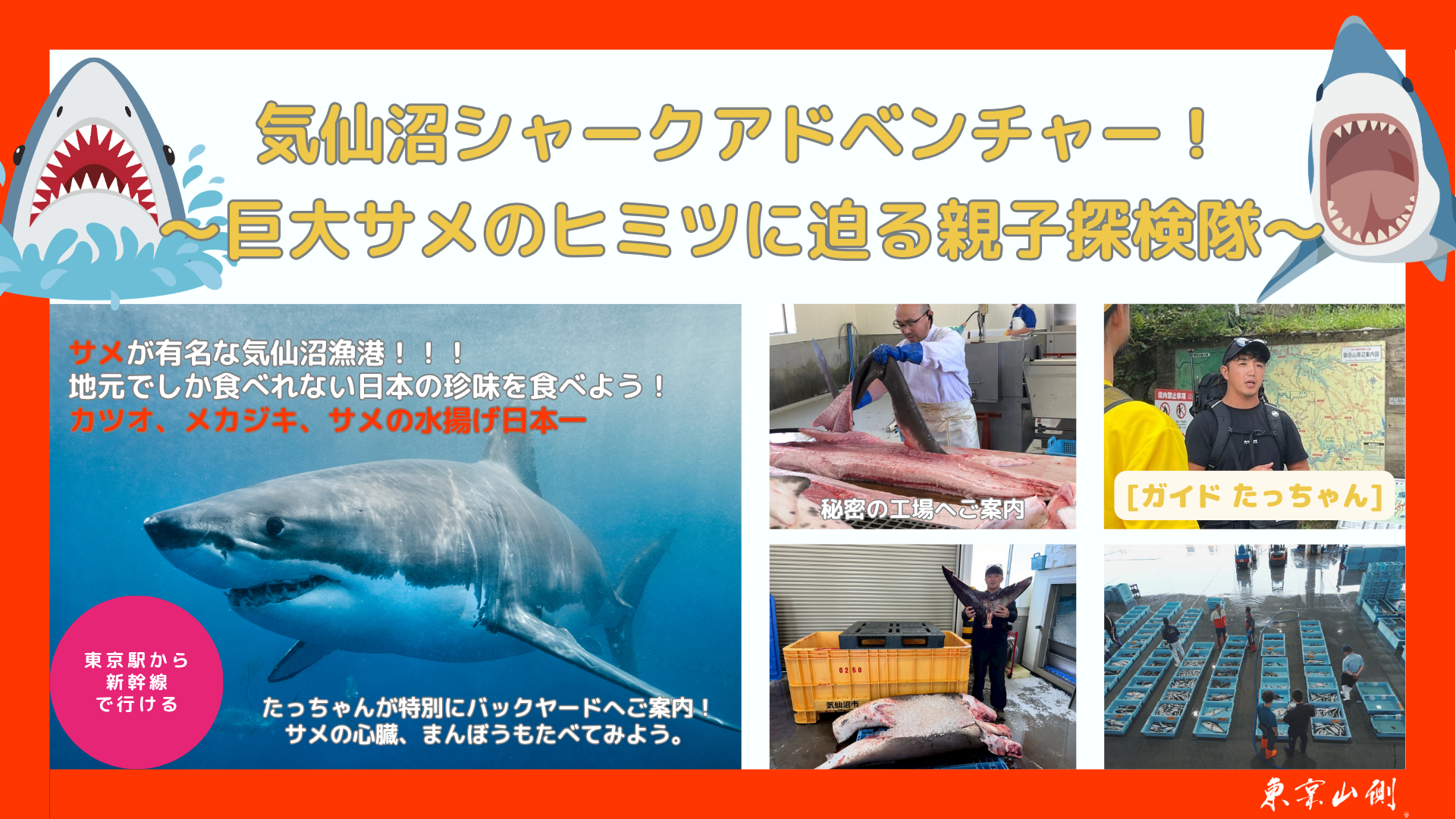 気仙沼の漁港とサメの水揚げの様子