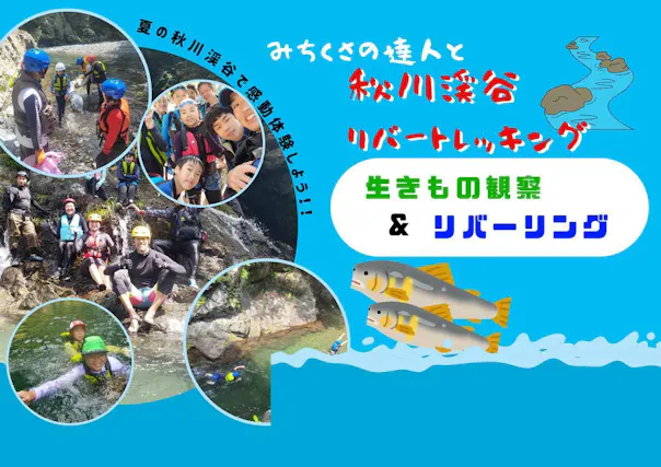 【日程限定】秋川渓谷リバートレッキング～生きもの探しと川流れトレーニング～
