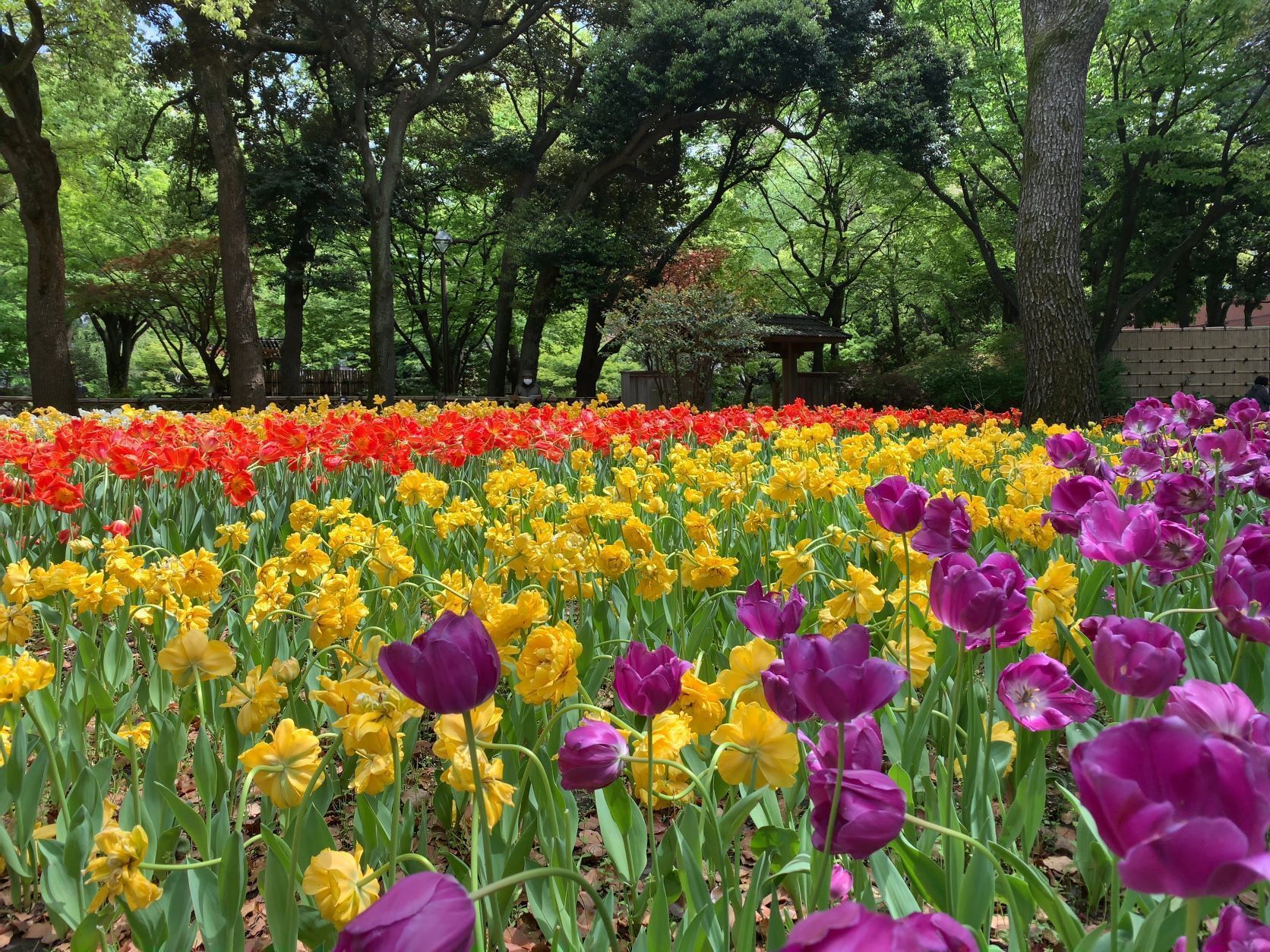 横浜の名建築 歴史ツアー 4月13日 を開催しました Aini アイニー 夢中が集まる体験プラットフォーム