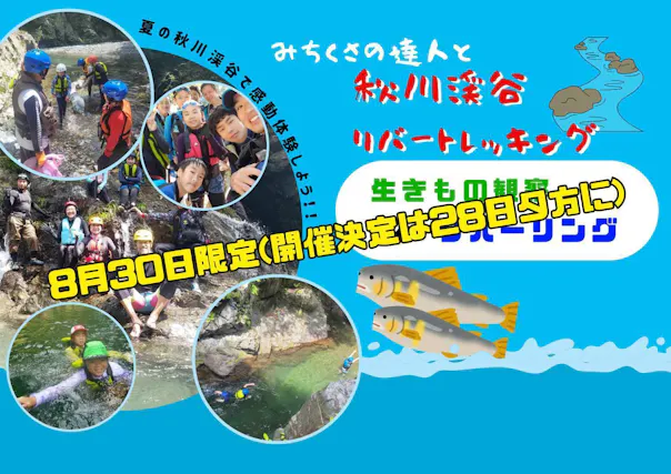 【8月30日限定】秋川渓谷リバートレッキング｜滝・淵・生きもの・川流れを親子で探究！