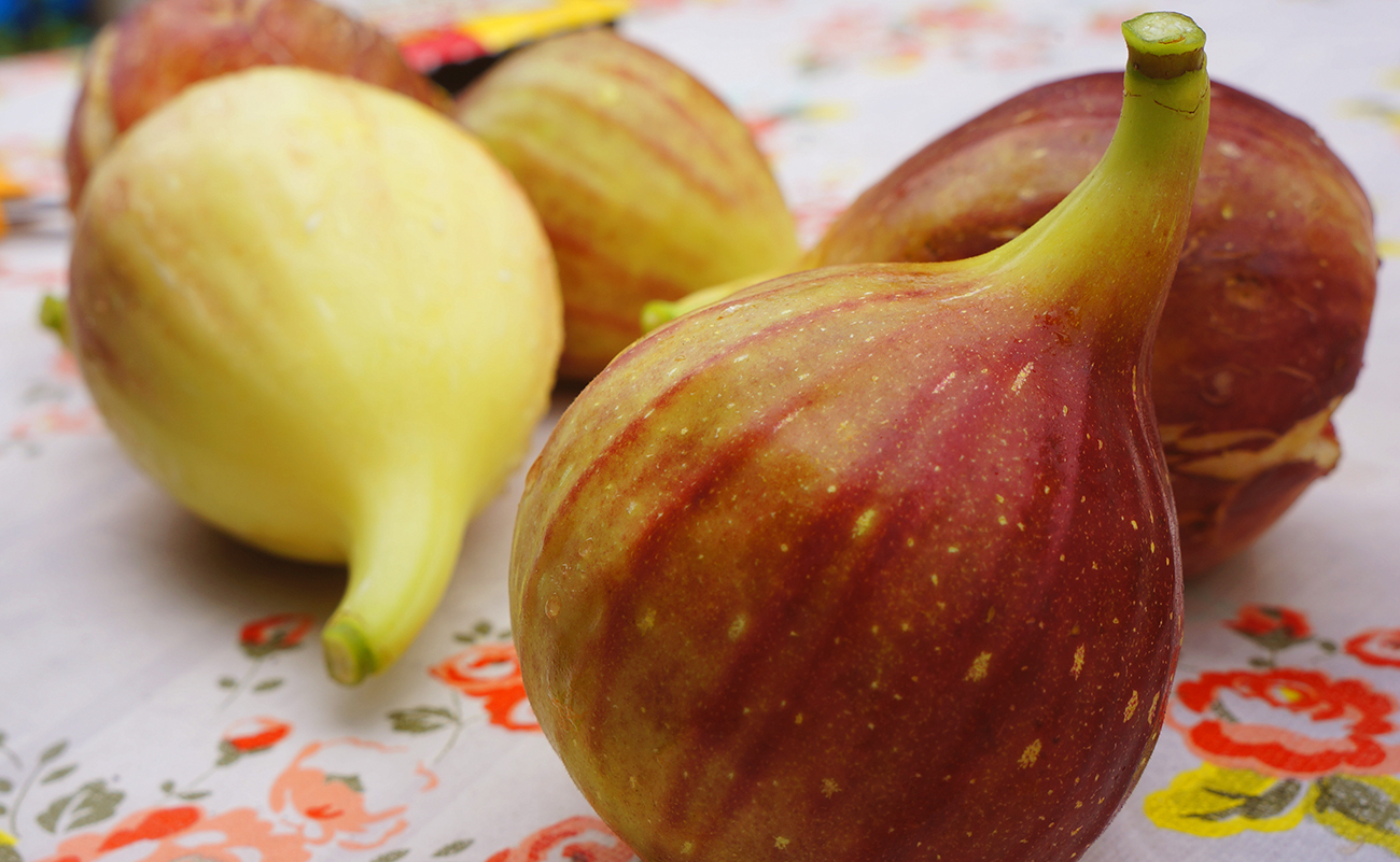 山内美香のプロフィール | aini（アイニ）