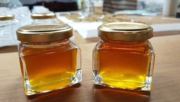 タカダ先生のaini体験、貴重なかわいいニホンミツバチの採蜜体験〜親子でオンライン体験フェス〜のイメージ画像