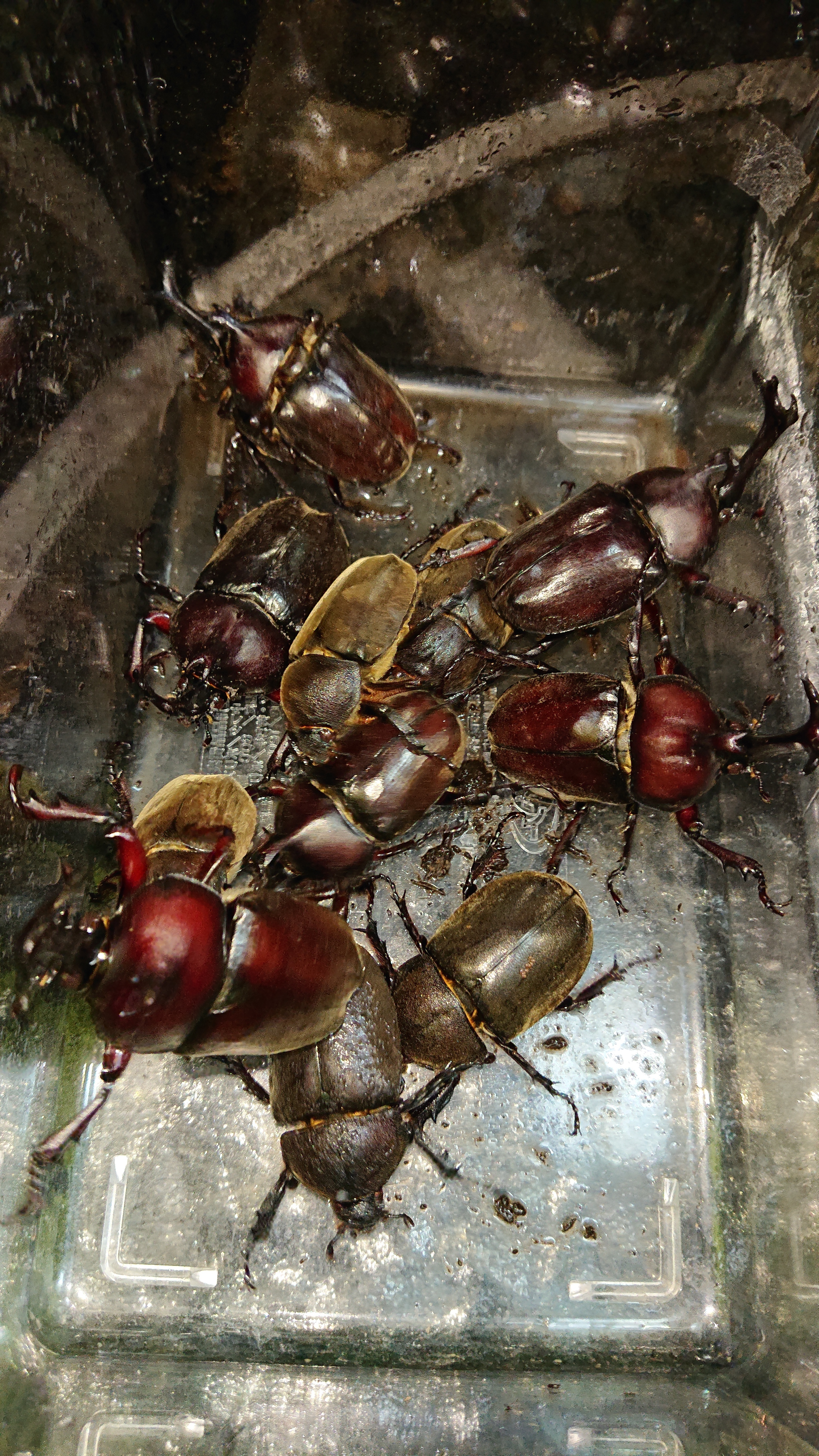 森田 Aini アイニ 夢中が集まる体験プラットフォーム