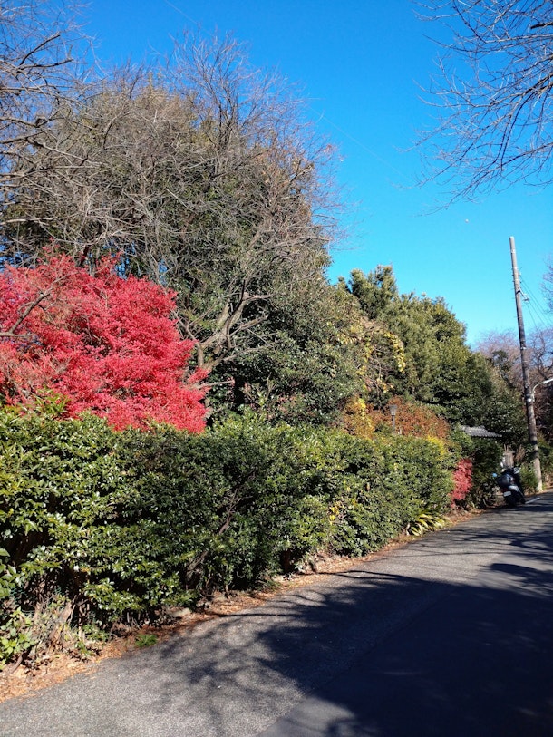 大田区北西部にある三つの嶺町(北嶺町・西嶺町・東嶺町)⁉ 遊んで学べる体験プラットフォームaini（アイニ）