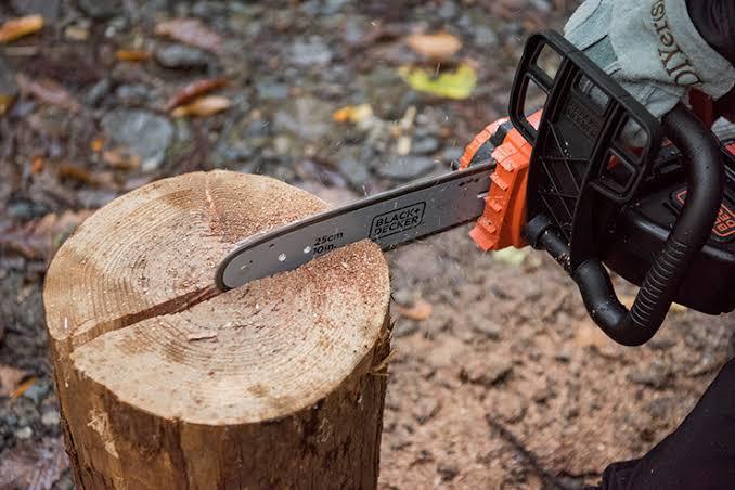 青葉台駅の英会話レッスンのアウトドアレジャー人気体験ランキング Aini アイニ 夢中が集まる体験プラットフォーム