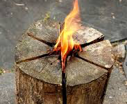 青葉台駅の英会話レッスンのアウトドアレジャー人気体験ランキング Aini アイニ 夢中が集まる体験プラットフォーム