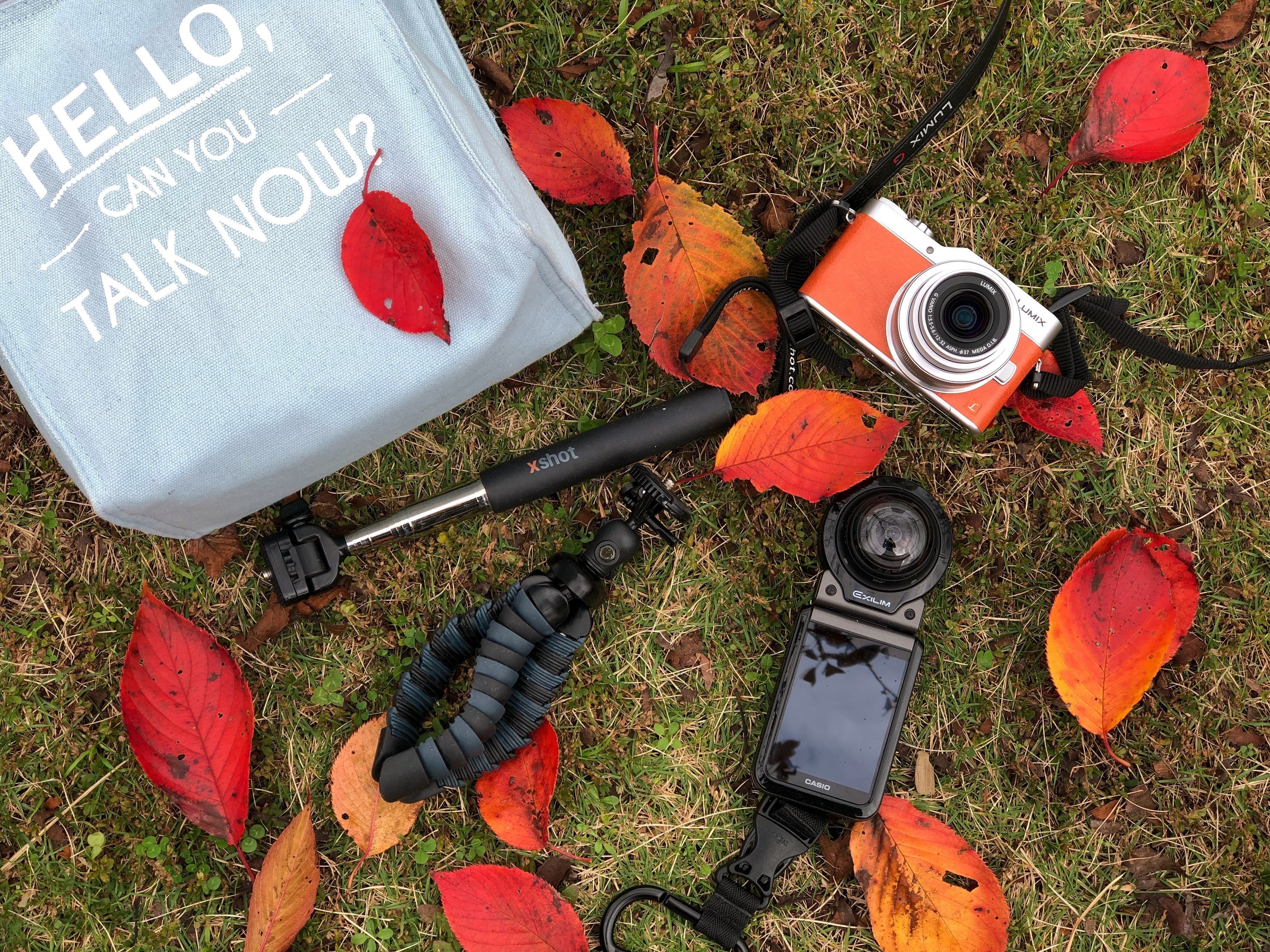 日光市の観光ツアー 街歩き人気体験ランキング Aini アイニ 夢中が集まる体験プラットフォーム