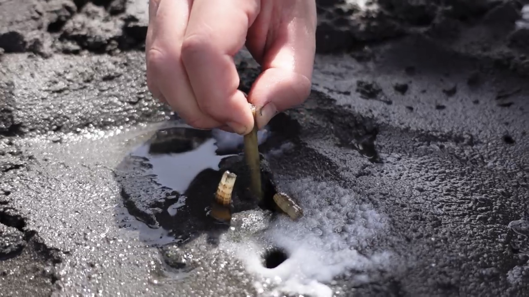 潮干狩り人気体験ランキング Aini アイニ 夢中が集まる体験プラットフォーム