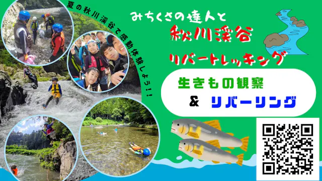 【夏限定】秋川渓谷リバートレッキング｜滝・淵・生きもの・川流れを親子で探究！