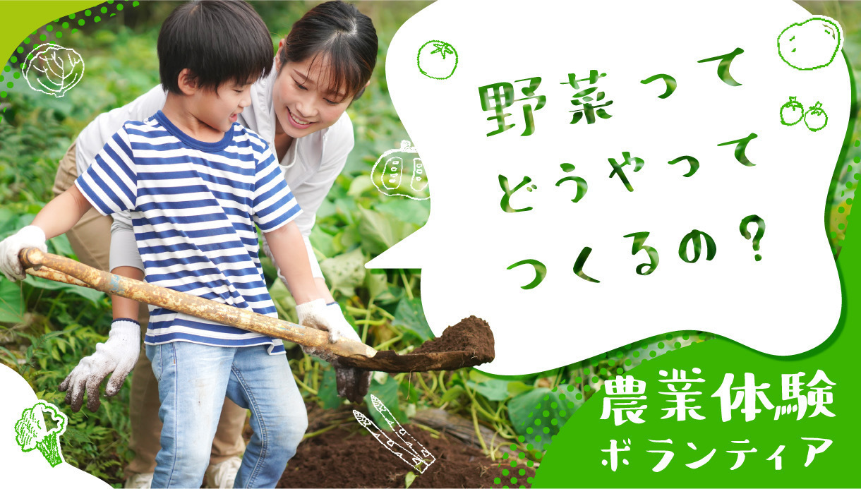 山内美香ページ 山内美香のプロフィール | aini（アイニ）