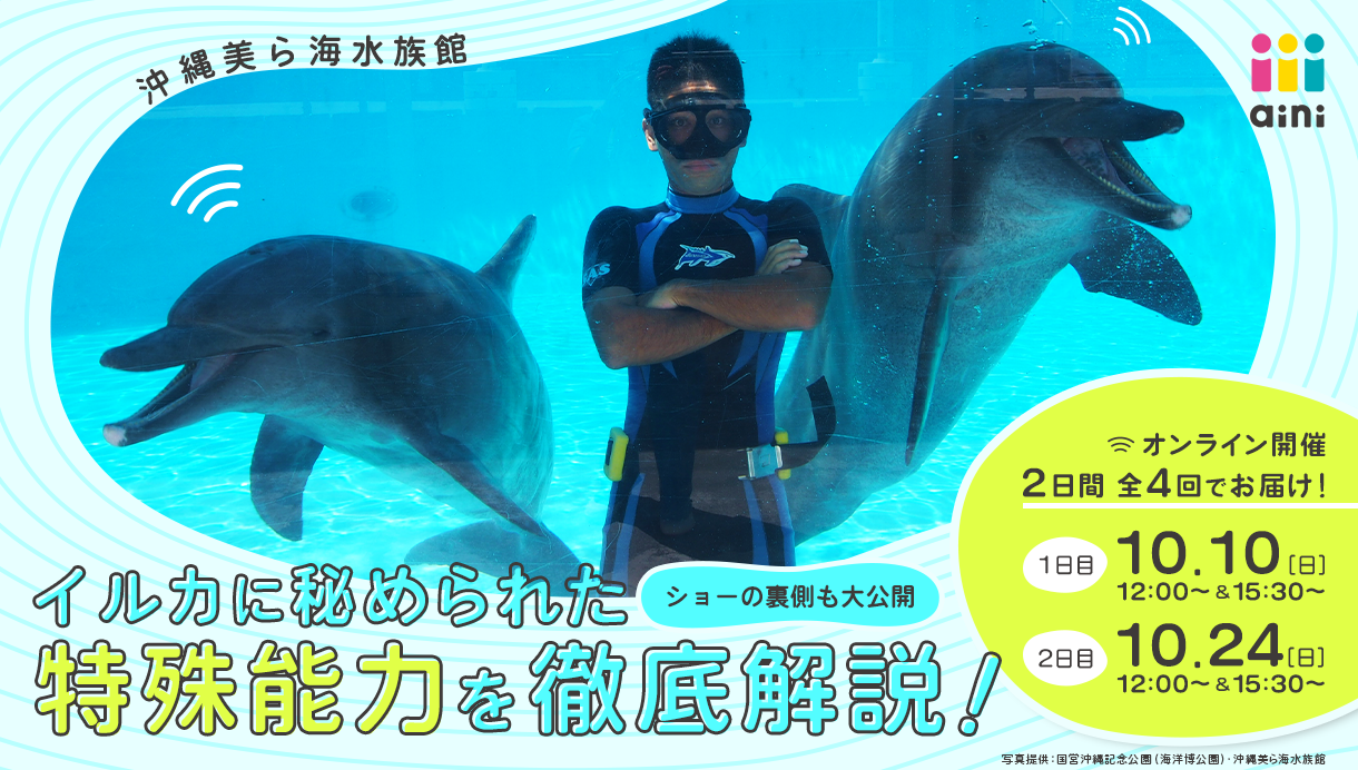 イルカに秘められた特殊能力を徹底解説 ショーの裏側も大公開 Aini アイニー 夢中が集まる体験プラットフォーム