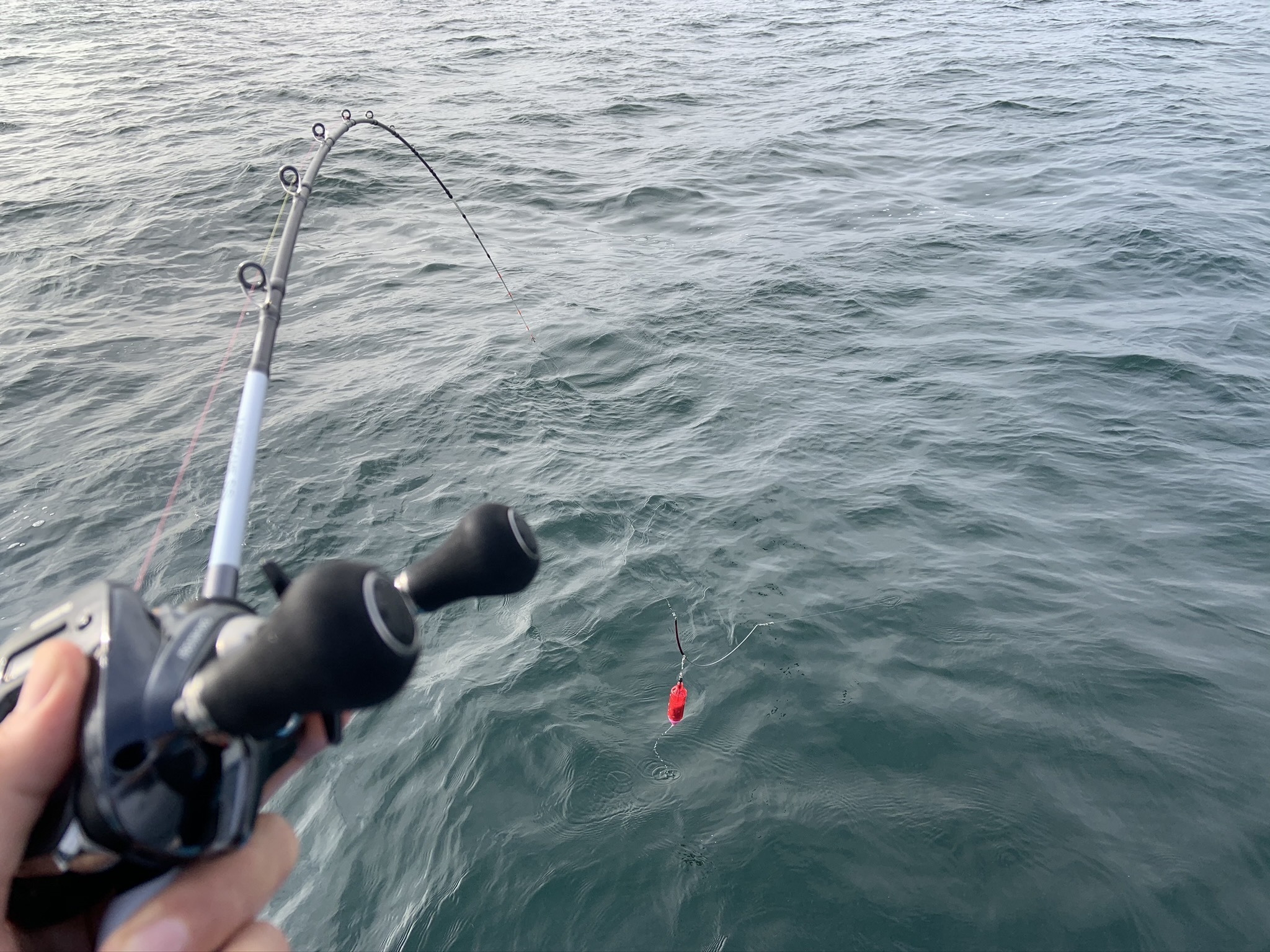 もうすぐ12月 東京湾はイナダもアジもよく釣れてますよ Aini アイニー 夢中が集まる体験プラットフォーム