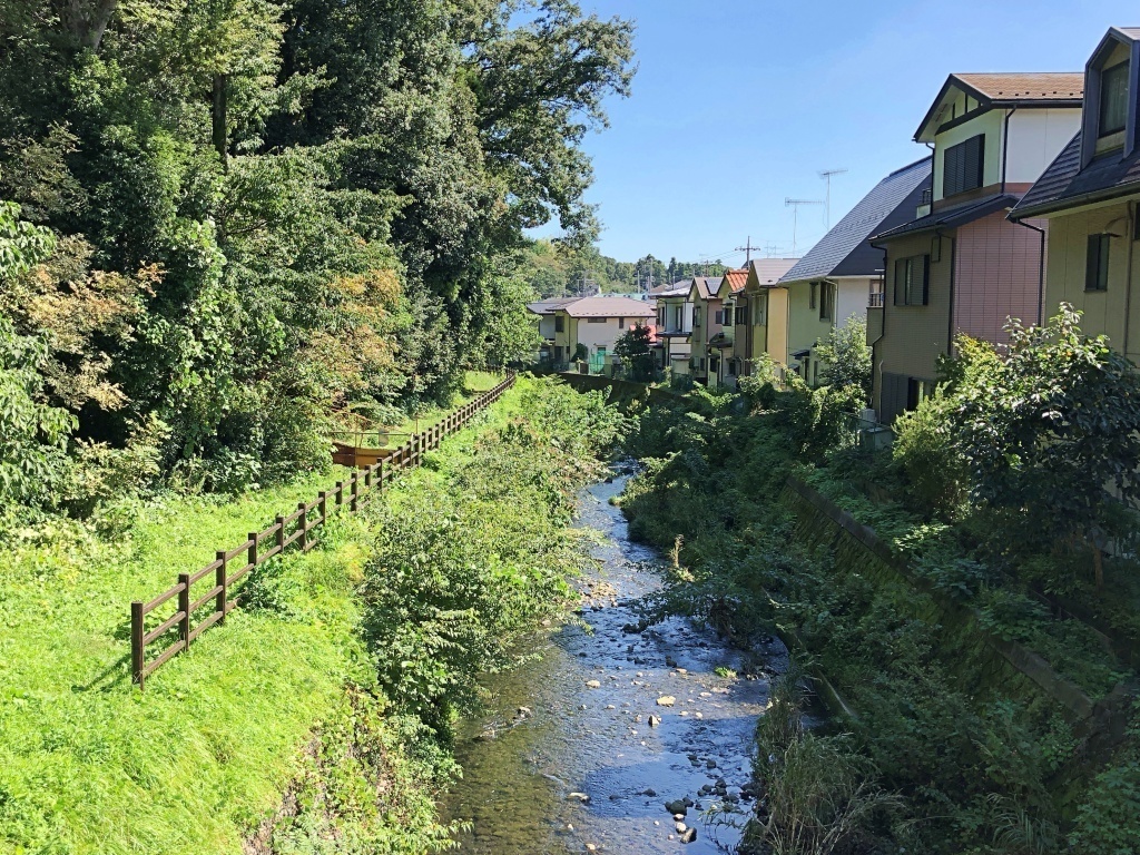 【姥川をゆく】源流域までの姥川流域 全踏破